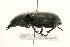  ( - 09BBCOL-0035)  @13 [ ] CreativeCommons - Attribution (2009) Unspecified Centre for Biodiversity Genomics