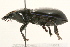  ( - 09BBCOL-0037)  @14 [ ] CreativeCommons - Attribution (2009) Unspecified Centre for Biodiversity Genomics