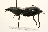  ( - 09BBCOL-0038)  @14 [ ] CreativeCommons - Attribution (2009) Unspecified Centre for Biodiversity Genomics