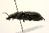  ( - 09BBCOL-0042)  @15 [ ] CreativeCommons - Attribution (2009) Unspecified Centre for Biodiversity Genomics