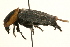  ( - 09BBCOL-0068)  @11 [ ] CreativeCommons - Attribution (2009) Unspecified Centre for Biodiversity Genomics