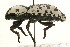  ( - 09BBCOL-0070)  @13 [ ] CreativeCommons - Attribution (2009) Unspecified Centre for Biodiversity Genomics