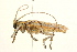  ( - 09BBCOL-0080)  @13 [ ] CreativeCommons - Attribution (2009) Unspecified Centre for Biodiversity Genomics
