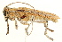  ( - 09BBCOL-0081)  @13 [ ] CreativeCommons - Attribution (2009) Unspecified Centre for Biodiversity Genomics