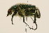  ( - 09BBCOL-0237)  @13 [ ] CreativeCommons - Attribution (2009) Unspecified Centre for Biodiversity Genomics