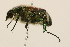  ( - 09BBCOL-0238)  @13 [ ] CreativeCommons - Attribution (2009) Unspecified Centre for Biodiversity Genomics