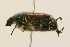  ( - 09BBCOL-0239)  @13 [ ] CreativeCommons - Attribution (2009) Unspecified Centre for Biodiversity Genomics