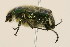  ( - 09BBCOL-0240)  @13 [ ] CreativeCommons - Attribution (2009) Unspecified Centre for Biodiversity Genomics