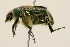  ( - 09BBCOL-0242)  @13 [ ] CreativeCommons - Attribution (2009) Unspecified Centre for Biodiversity Genomics