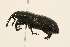 ( - 09BBCOL-0266)  @14 [ ] CreativeCommons - Attribution (2009) Unspecified Centre for Biodiversity Genomics