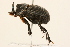  ( - 09BBCOL-0267)  @13 [ ] CreativeCommons - Attribution (2009) Unspecified Centre for Biodiversity Genomics