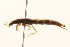  ( - 09BBCOL-0476)  @13 [ ] CreativeCommons - Attribution (2009) Unspecified Centre for Biodiversity Genomics