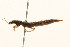  ( - 09BBCOL-0477)  @13 [ ] CreativeCommons - Attribution (2009) Unspecified Centre for Biodiversity Genomics
