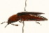  ( - 09BBCOL-0486)  @13 [ ] CreativeCommons - Attribution (2009) Unspecified Centre for Biodiversity Genomics