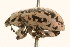  ( - 09BBCOL-0495)  @15 [ ] CreativeCommons - Attribution (2009) Unspecified Centre for Biodiversity Genomics
