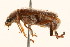 ( - 09BBCOL-0543)  @13 [ ] CreativeCommons - Attribution (2009) Unspecified Centre for Biodiversity Genomics