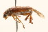  ( - 09BBCOL-0551)  @11 [ ] CreativeCommons - Attribution (2009) Unspecified Centre for Biodiversity Genomics