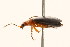  ( - 09BBCOL-0563)  @13 [ ] CreativeCommons - Attribution (2009) Unspecified Centre for Biodiversity Genomics