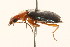  ( - 09BBCOL-0566)  @13 [ ] CreativeCommons - Attribution (2009) Unspecified Centre for Biodiversity Genomics