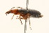  ( - 09BBCOL-0567)  @12 [ ] CreativeCommons - Attribution (2009) Unspecified Centre for Biodiversity Genomics