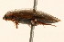  ( - 09BBCOL-0579)  @13 [ ] CreativeCommons - Attribution (2009) Unspecified Centre for Biodiversity Genomics