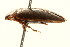  ( - 09BBCOL-0581)  @13 [ ] CreativeCommons - Attribution (2009) Unspecified Centre for Biodiversity Genomics