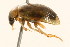  ( - 09BBCOL-0589)  @12 [ ] CreativeCommons - Attribution (2009) Unspecified Centre for Biodiversity Genomics