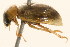  ( - 09BBCOL-0590)  @12 [ ] CreativeCommons - Attribution (2009) Unspecified Centre for Biodiversity Genomics