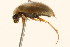  ( - 09BBCOL-0592)  @12 [ ] CreativeCommons - Attribution (2009) Unspecified Centre for Biodiversity Genomics