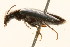  ( - 09BBCOL-0617)  @13 [ ] CreativeCommons - Attribution (2009) Unspecified Centre for Biodiversity Genomics