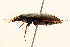  ( - 09BBCOL-0632)  @12 [ ] CreativeCommons - Attribution (2009) Unspecified Centre for Biodiversity Genomics