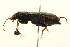  ( - 09BBCOL-0633)  @12 [ ] CreativeCommons - Attribution (2009) Unspecified Centre for Biodiversity Genomics