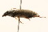  ( - 09BBCOL-0634)  @12 [ ] CreativeCommons - Attribution (2009) Unspecified Centre for Biodiversity Genomics