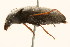  ( - 09BBCOL-0635)  @12 [ ] CreativeCommons - Attribution (2009) Unspecified Centre for Biodiversity Genomics
