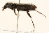  ( - 09BBCOL-0646)  @13 [ ] CreativeCommons - Attribution (2009) Unspecified Centre for Biodiversity Genomics