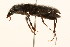  ( - 09BBCOL-0648)  @13 [ ] CreativeCommons - Attribution (2009) Unspecified Centre for Biodiversity Genomics