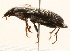  ( - 09BBCOL-0658)  @13 [ ] CreativeCommons - Attribution (2009) Unspecified Centre for Biodiversity Genomics