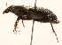 ( - 09BBCOL-0659)  @14 [ ] CreativeCommons - Attribution (2009) Unspecified Centre for Biodiversity Genomics