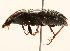  ( - 09BBCOL-0660)  @13 [ ] CreativeCommons - Attribution (2009) Unspecified Centre for Biodiversity Genomics