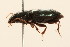  ( - 09BBCOL-0677)  @13 [ ] CreativeCommons - Attribution (2009) Unspecified Centre for Biodiversity Genomics