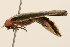  ( - 09BBCOL-0693)  @11 [ ] CreativeCommons - Attribution (2009) Unspecified Centre for Biodiversity Genomics