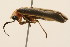  ( - 09BBCOL-0694)  @12 [ ] CreativeCommons - Attribution (2009) Unspecified Centre for Biodiversity Genomics