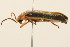  ( - 09BBCOL-0695)  @12 [ ] CreativeCommons - Attribution (2009) Unspecified Centre for Biodiversity Genomics