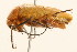  ( - 09BBCOL-0740)  @13 [ ] CreativeCommons - Attribution (2009) Unspecified Centre for Biodiversity Genomics