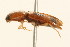  ( - 09BBCOL-0752)  @13 [ ] CreativeCommons - Attribution (2009) Unspecified Centre for Biodiversity Genomics