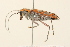  ( - 09BBCOL-0126)  @13 [ ] CreativeCommons - Attribution (2009) Unspecified Centre for Biodiversity Genomics
