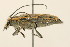  ( - 09BBCOL-0127)  @13 [ ] CreativeCommons - Attribution (2009) Unspecified Centre for Biodiversity Genomics