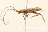  ( - 09BBCOL-0133)  @13 [ ] CreativeCommons - Attribution (2009) Unspecified Centre for Biodiversity Genomics