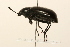  ( - 09BBCOL-0862)  @13 [ ] CreativeCommons - Attribution (2009) Unspecified Centre for Biodiversity Genomics