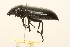  ( - 09BBCOL-0896)  @13 [ ] CreativeCommons - Attribution (2009) Unspecified Centre for Biodiversity Genomics